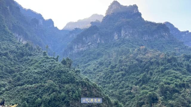 天門山森林覆蓋局部景觀。圖/九派新聞 胡冰月