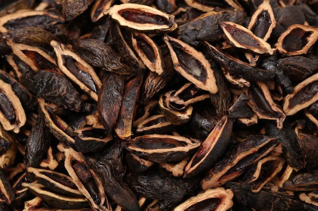 当宾利决定与一级致癌物站在一起