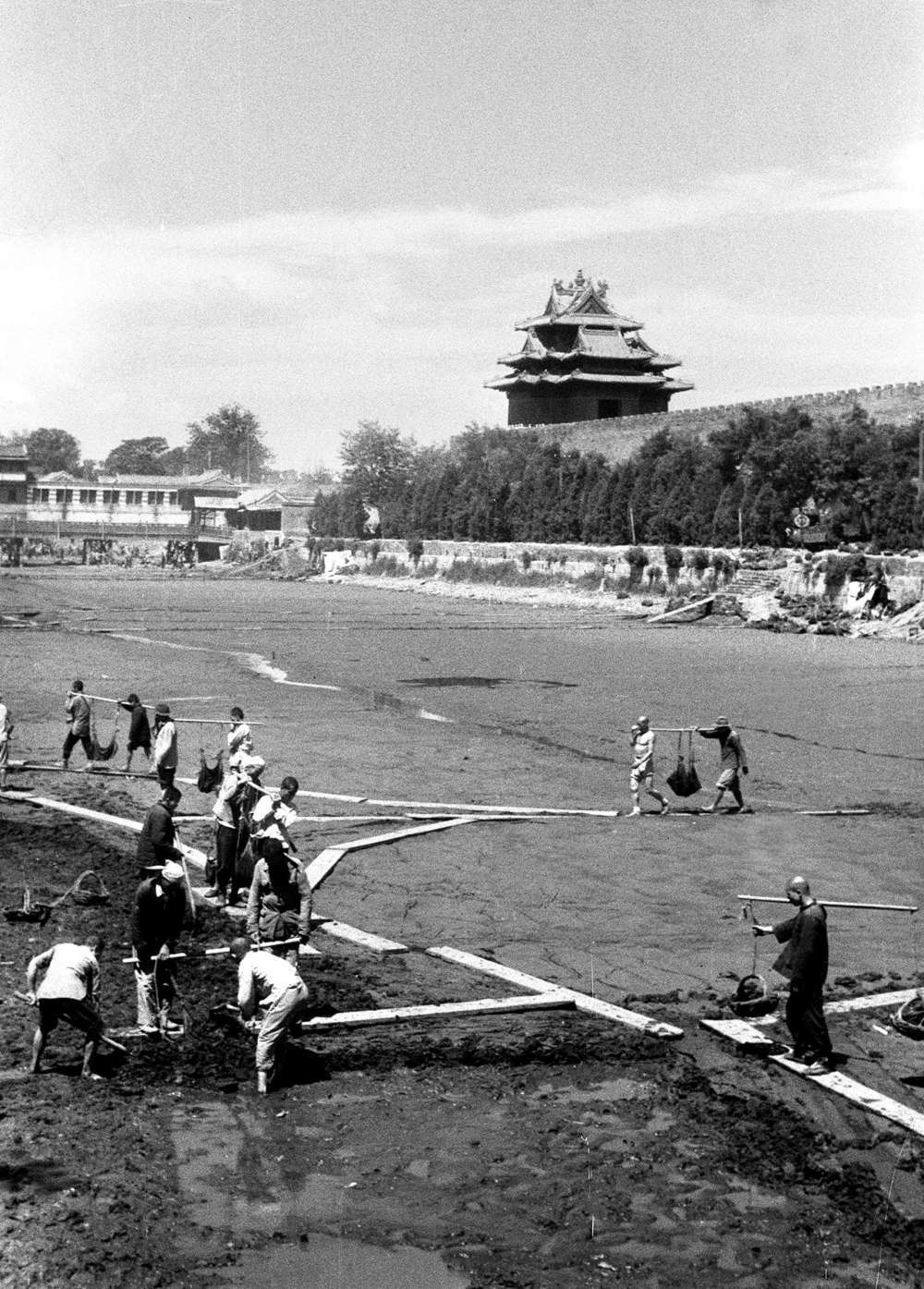 1950年/护城河清淤/摄影:张印泉