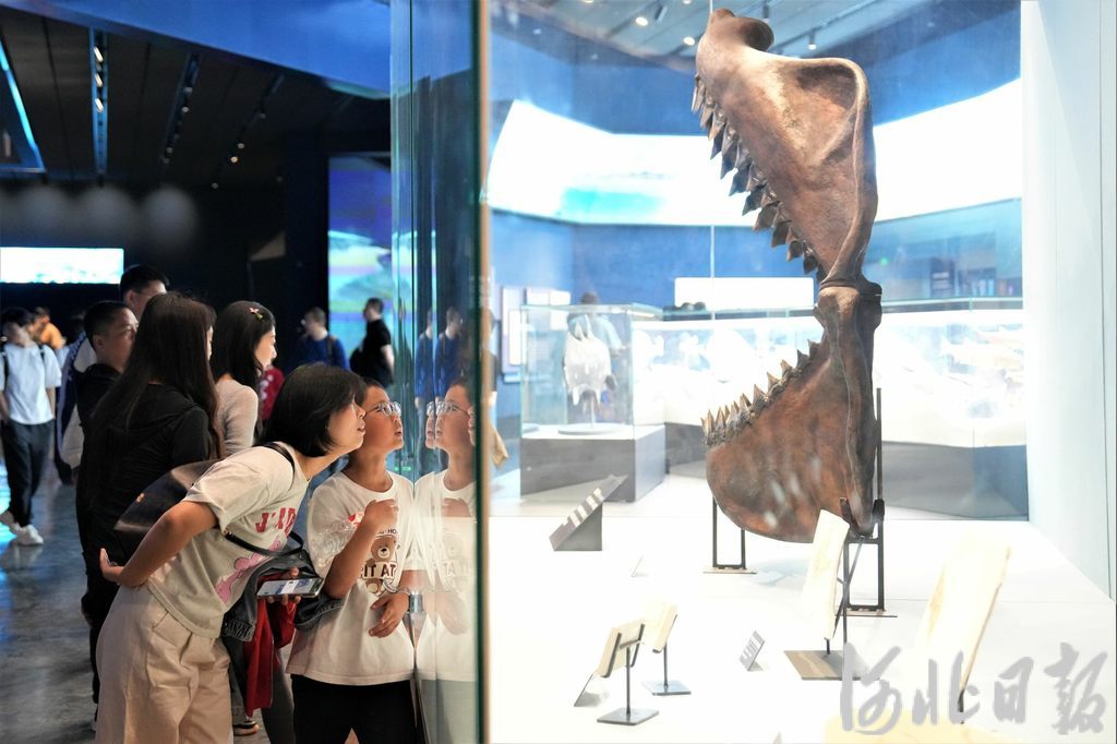游客在中国古动物馆(保定自然博物馆)参观。河北日报资料片