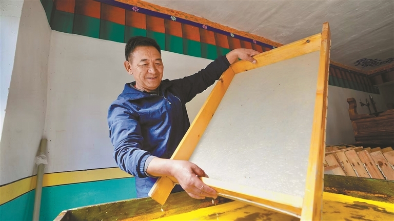 图为阿旺曲央在晾晒成型的纸浆，自然风干锁留纤维韧性。