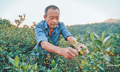 用光影记录乡村全面振兴新画卷（新时代画卷）