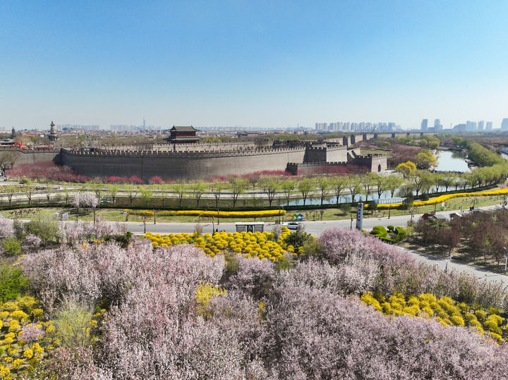 河北省正定古城南城门春色(2025年3月31日摄,无人机照片)。新华社发(梁子栋摄)