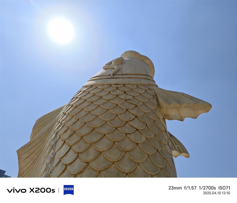果味十足的vivo手机!vivo X200s全面评测:最强“苹替”的安卓标准旗舰
