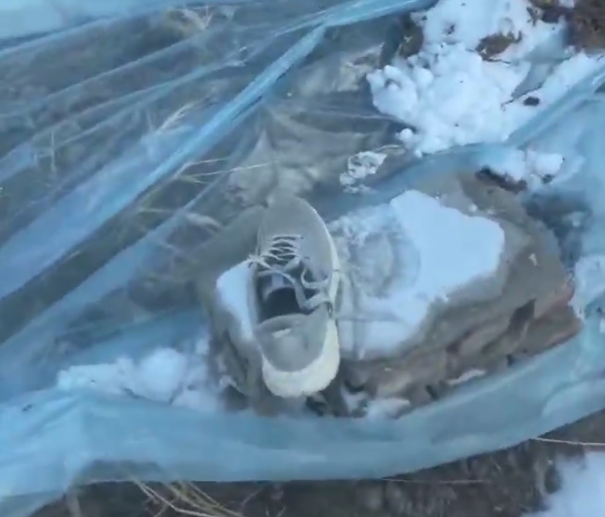 疑似姚某遗留在现场的一只鞋