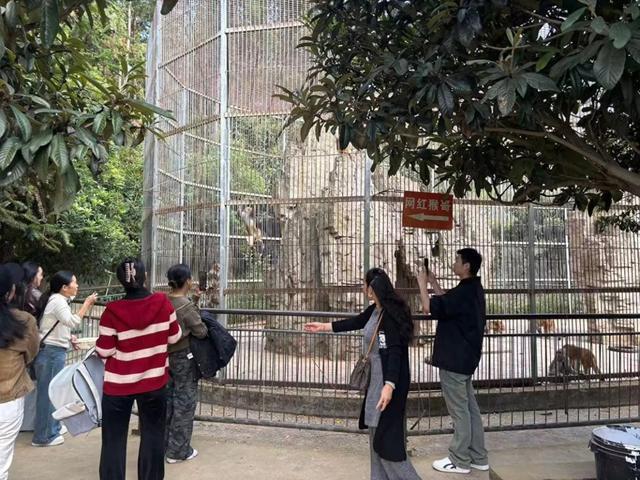 资料图,图中可见猴子所在笼舍由铁制围栏包围,且外部设置了栏杆阻挡游客,保持安全距离。图源:九派新闻