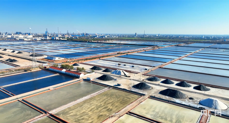 盐坨整齐地排列在如调色板般的盐田之间（央广网记者 刘博伦 摄）