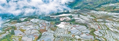 我国再添四处世界灌溉工程遗产(新时代画卷)
