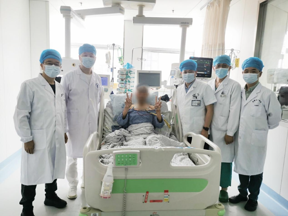 全球首例辅助性异种猪肝移植术资料图,摄于2024年。/图源:云南农业大学官网