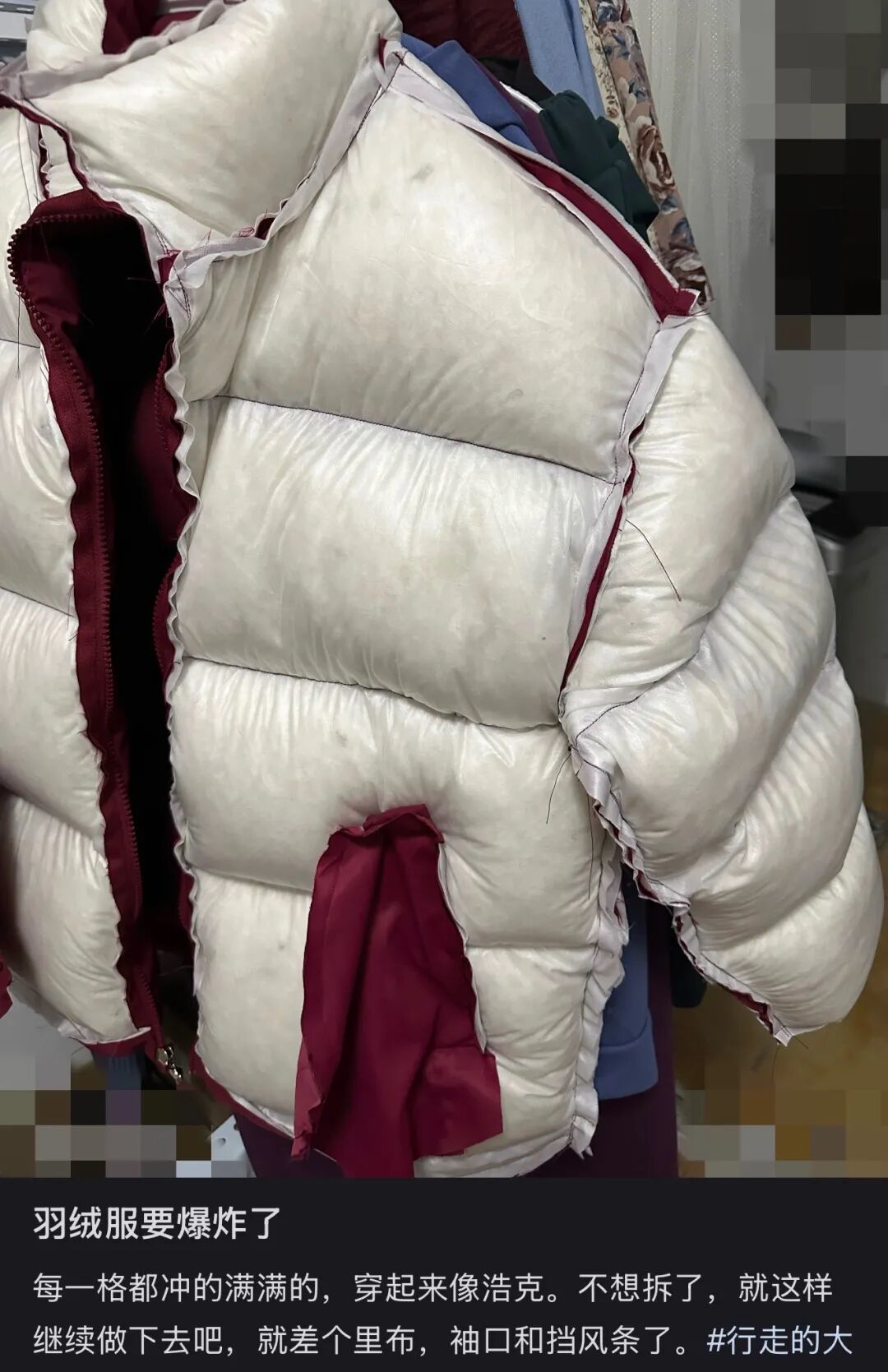 〓 图源:小红书用户@江江好