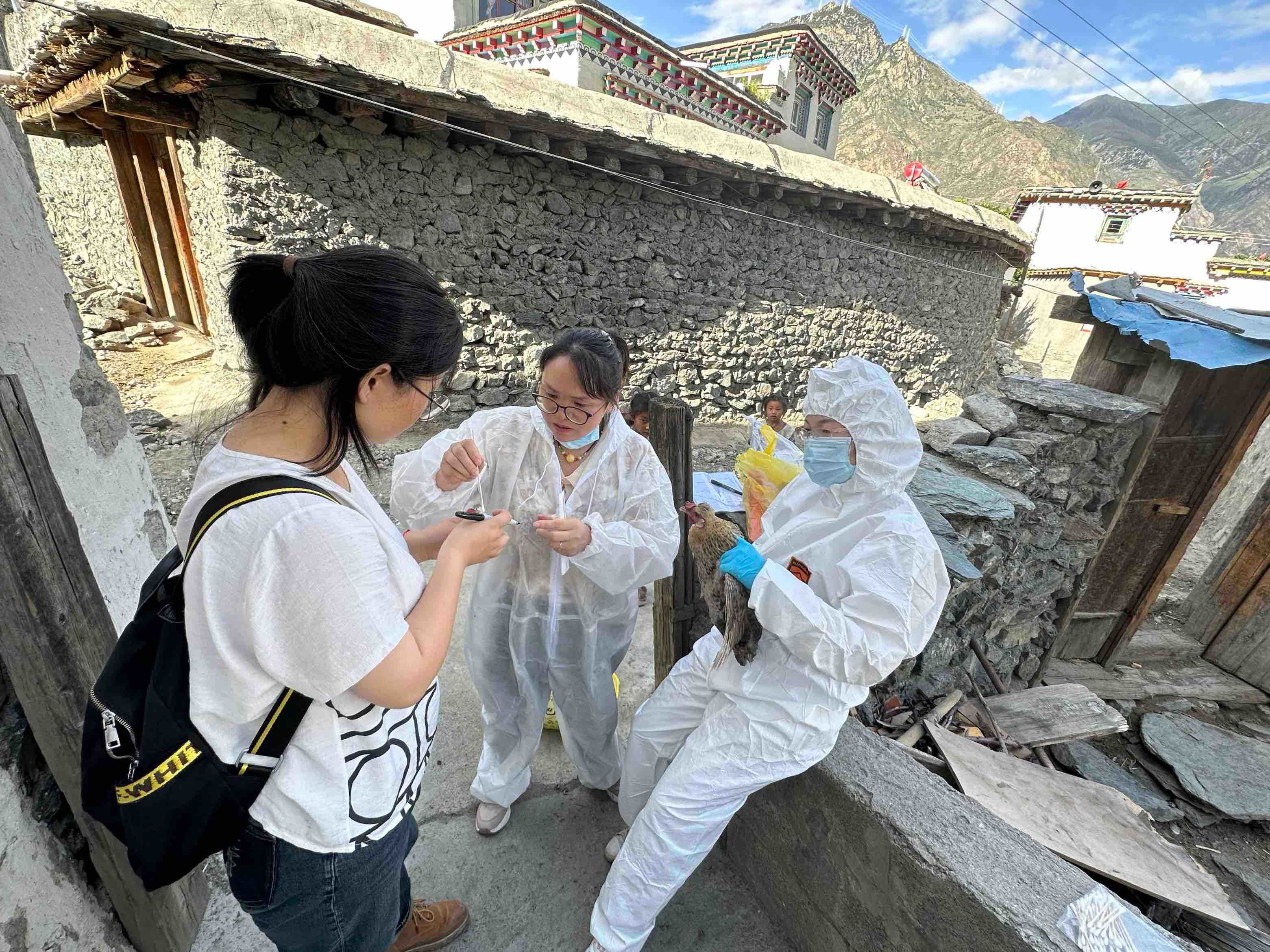 图为冯静（左二）在昌都采集样品