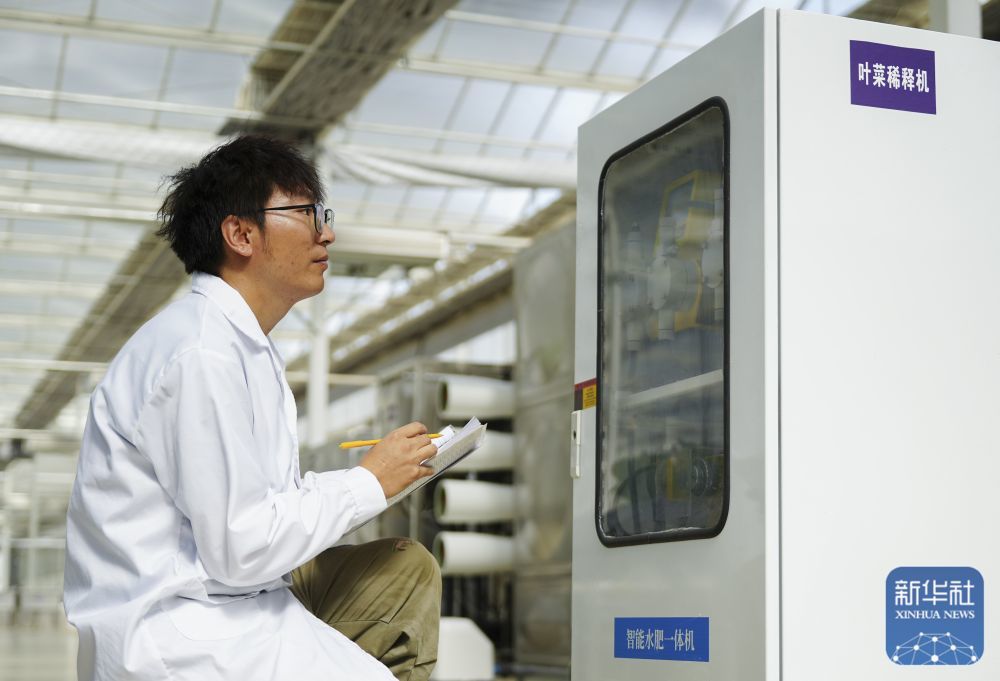 ↑ 6月25日，在新疆阿克苏地区库车市甬库同心村智慧农业植物工厂，工作人员在监测记录智能水肥一体机运行情况。