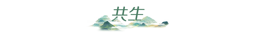 活力中国调研行丨从“浙”里,看中国