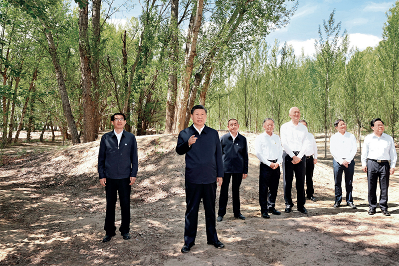 2023年6月5日至6日,中共中央总书记、国家主席、中央军委主席习近平在内蒙古巴彦淖尔考察,并主持召开加强荒漠化综合防治和推进“三北”等重点生态工程建设座谈会。这是6日上午,习近平在临河区国营新华林场考察。 新华社记者 谢环驰/摄