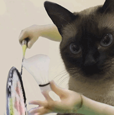 机器狗能当羽毛球搭子了!仅靠强化学习从0自学,还涌现出类人回位行为 | Science子刊