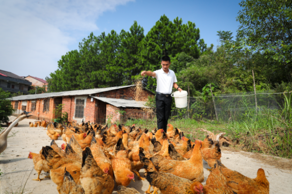 截图20251113103830