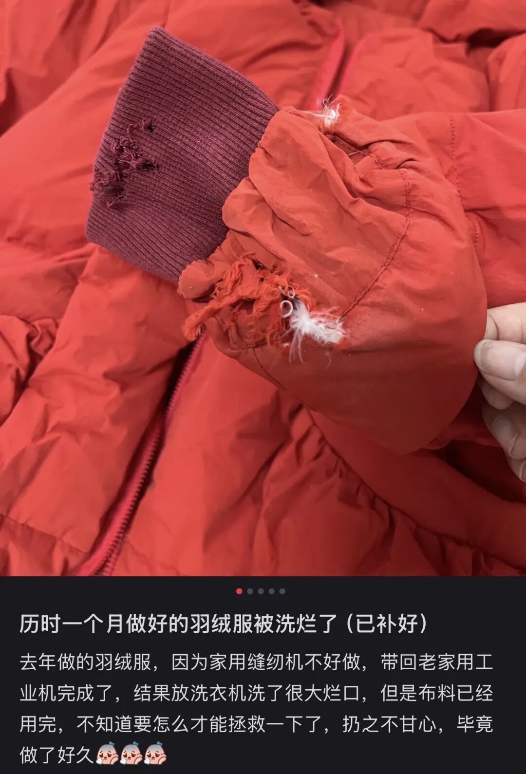 〓 图源:小红书用户@FANYU