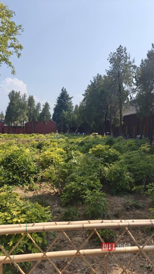 白马寺内景