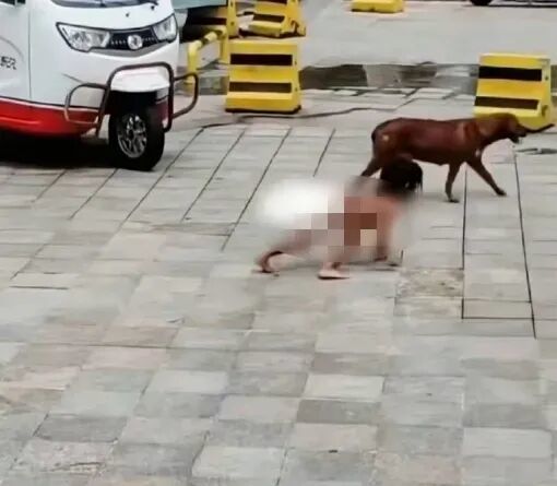 孩子用四肢在地上爬行奔跑。图片来源:网友视频截图