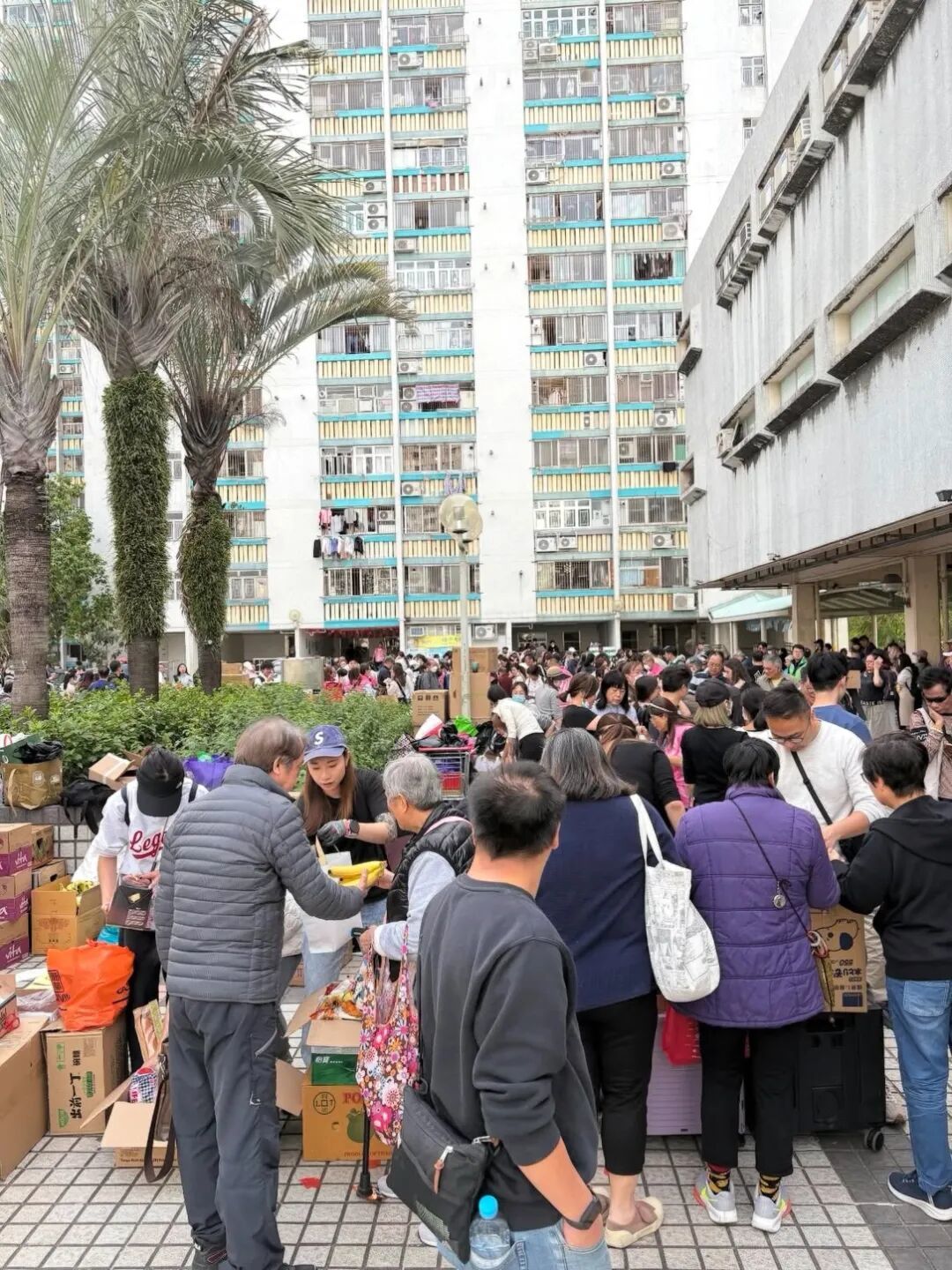 现场志愿者们在发放、搬运物资/受访者李小姐供图