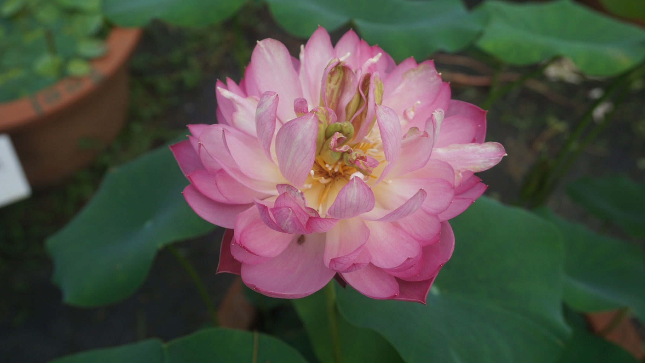 微信图片_20250614135807