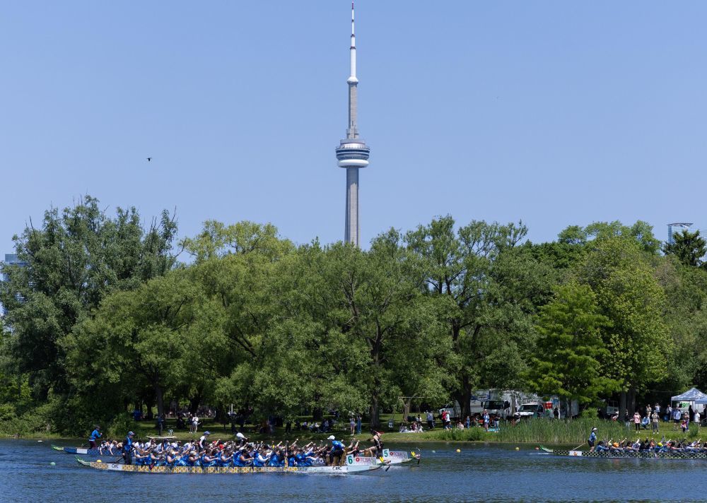 ↑在加拿大多伦多，选手们在2025年国际龙舟节上竞渡（2025年6月14日摄）。