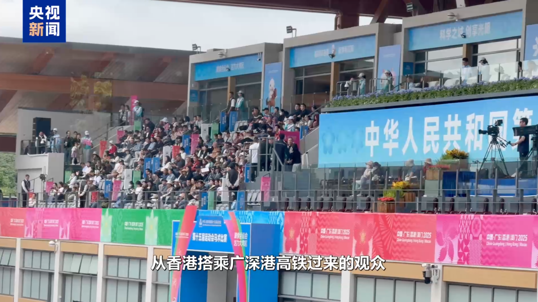 志愿者Vlog丨“马”上有戏！香港“小海豚”解锁湾区融合新姿势