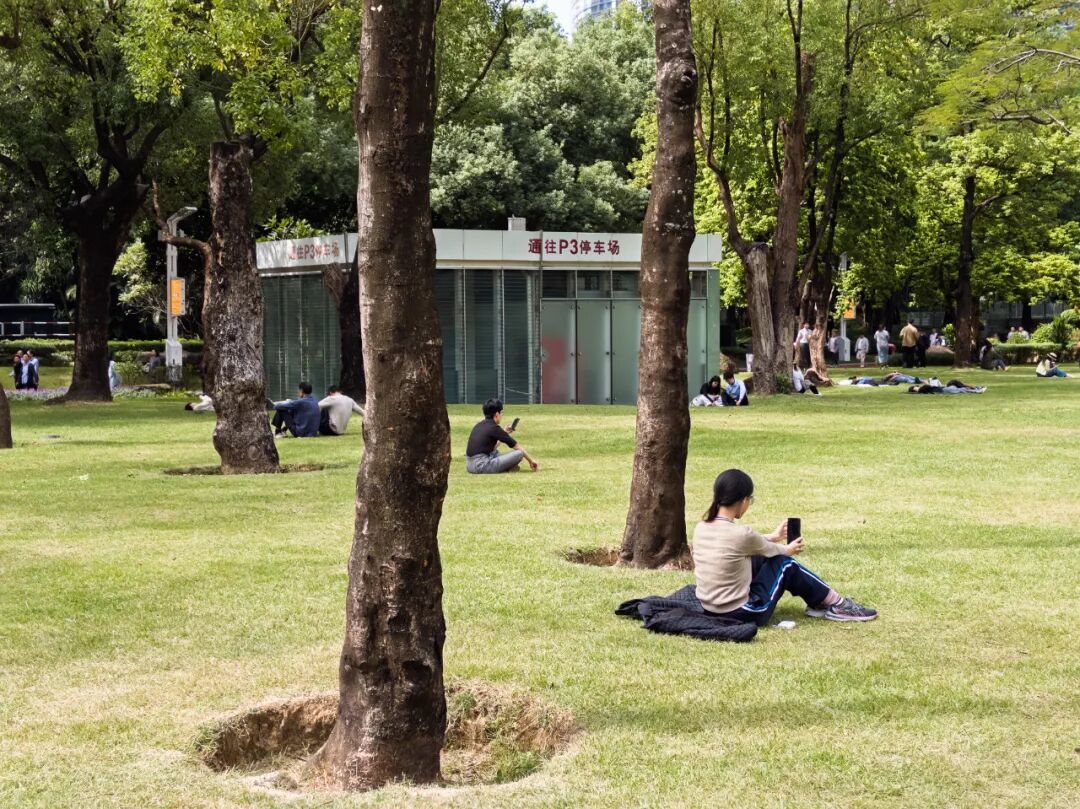 iPhone Air + Indigo:单摄手机迎来文艺复兴