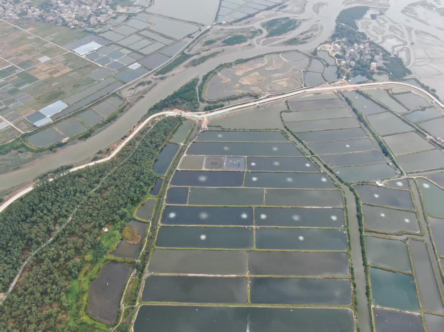 ▲家庭农场所在村