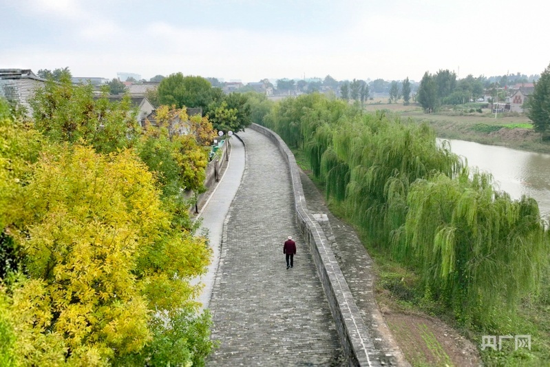 漫步古镇运河间,两侧草木葱茏,运河静静流淌(央广网发 程永辉 摄)