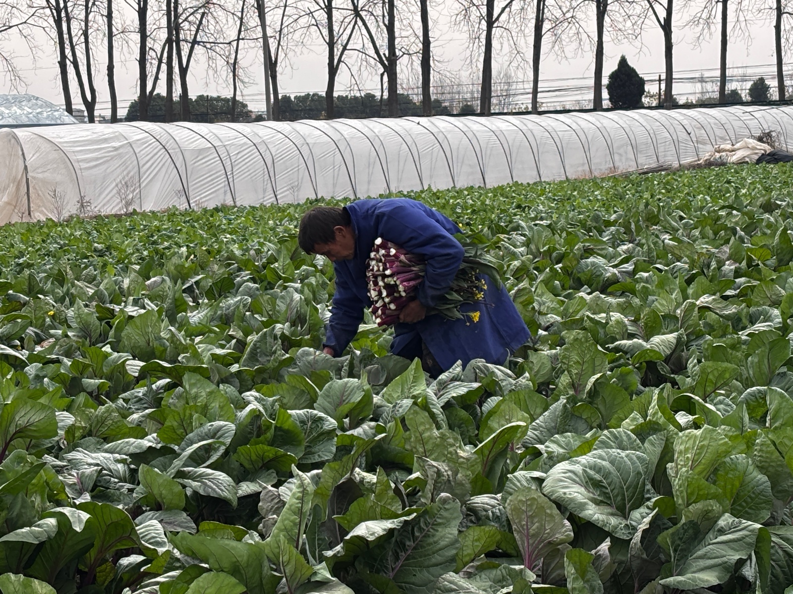 微信图片_20251216173133_988_345