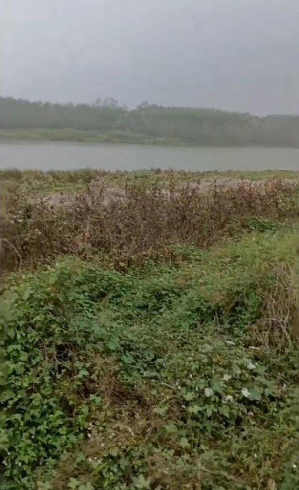 案发现场(受访者供图)