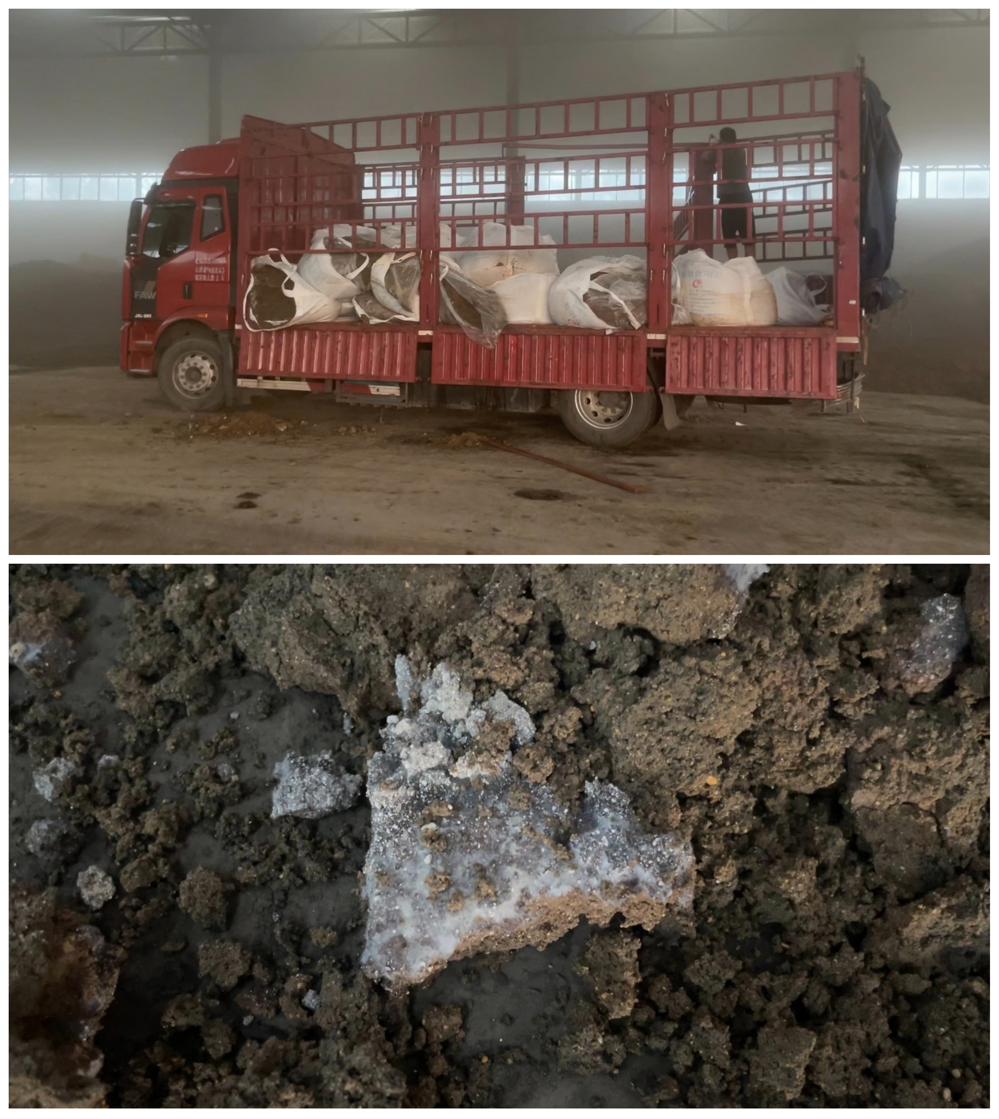 一货车从南京垃圾中转站拉来的发霉污泥。