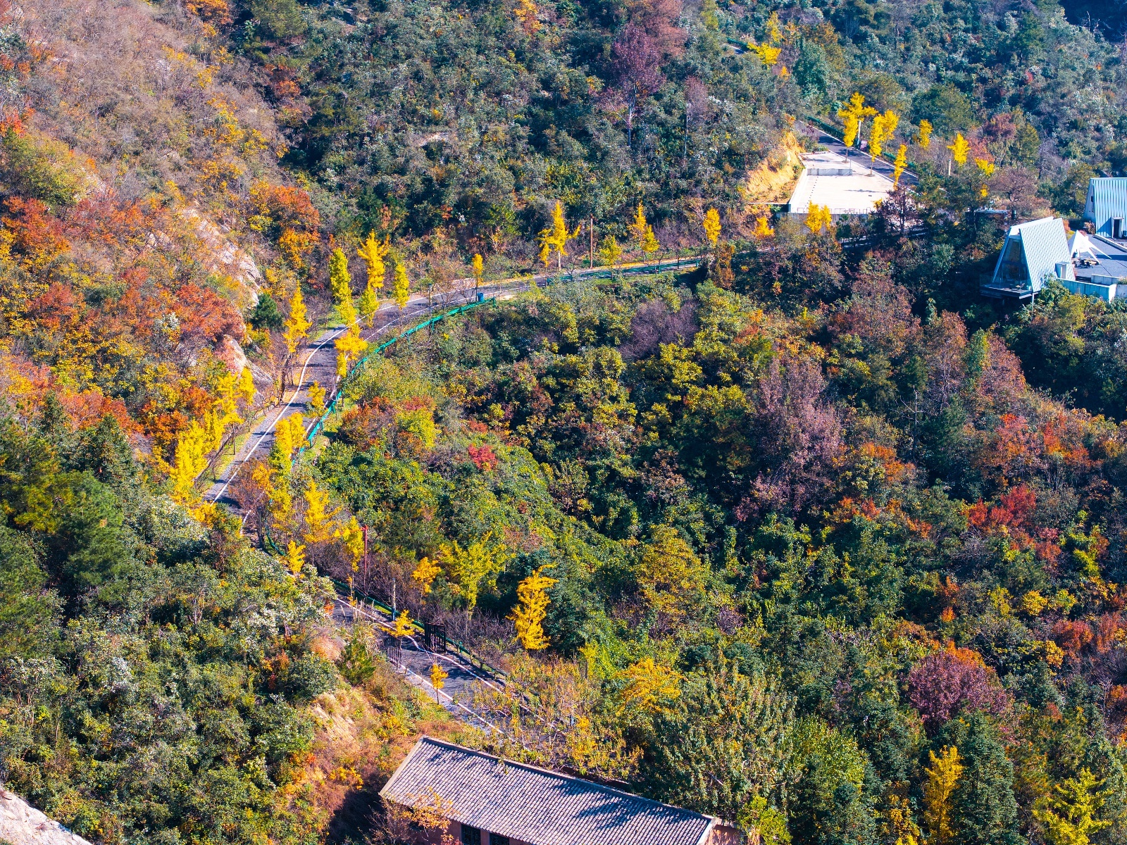 20251105武汉黄陂清凉寨秋景-4