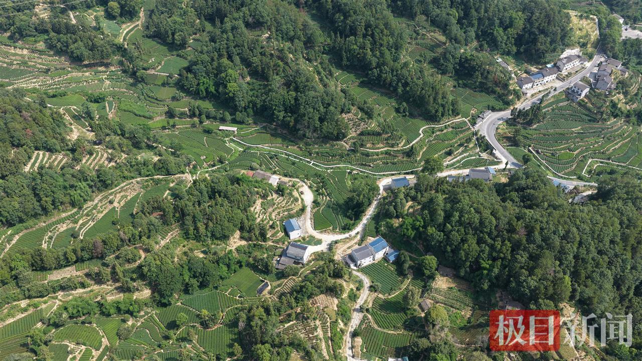 dji_fly_20250716_152230_0508_1753066701075_photo.JPG