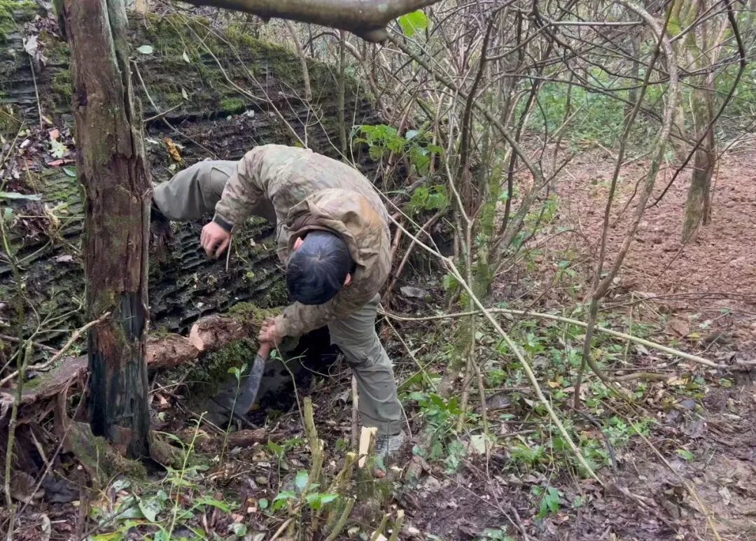 一把30公分的柴刀是30天生存挑战中的唯一工具