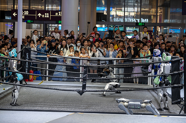 11月15日,广东深圳,第二十七届高交会上的宇树机器人拳击赛 视觉中国