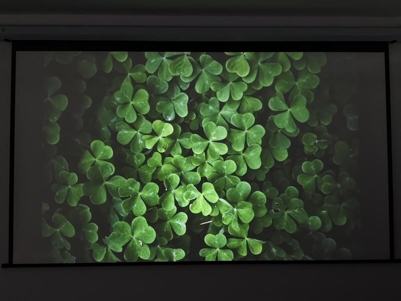 千元投影新卷王!哈趣Q1 Max评测:这是一台Z世代租房党的居家新玩物