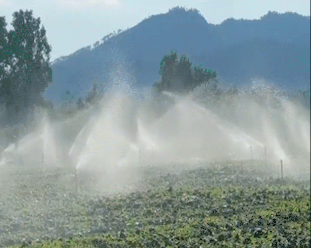 全运会｜在大湾区，感知交通联通的强劲脉动