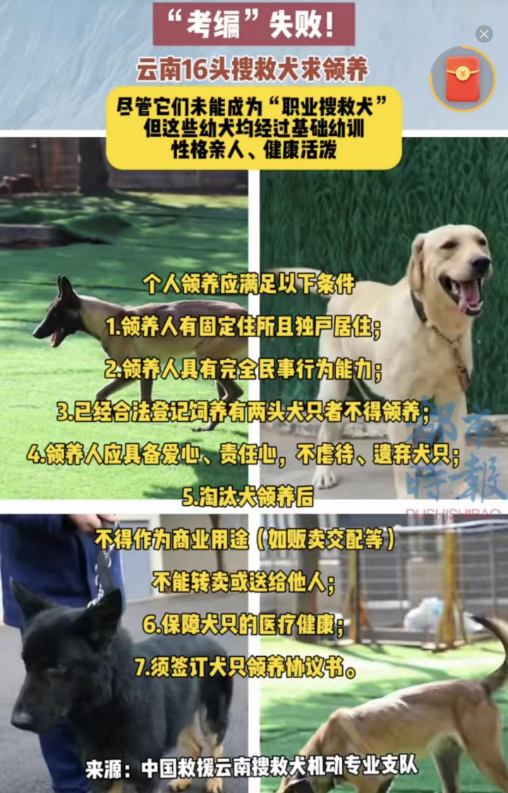 图源:微博@都市时报