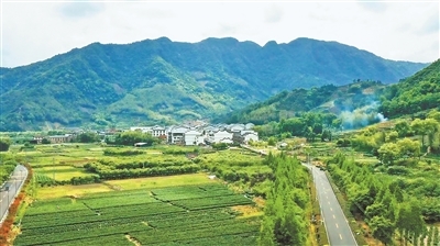 福建宁德赤溪村全景。　郑 镇摄