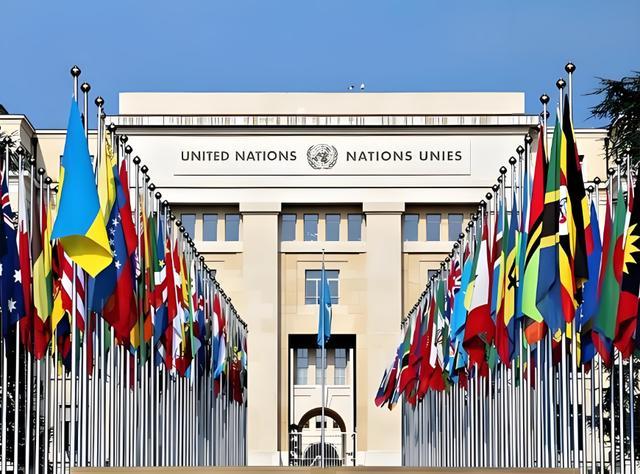 (联合国成员国旗帜)