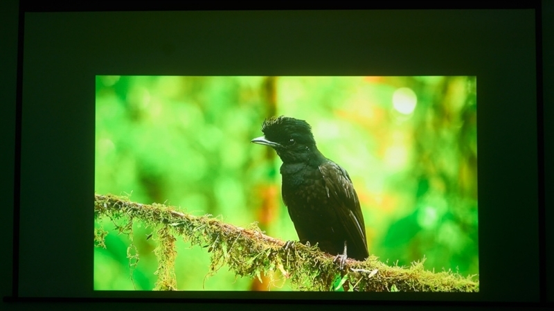 亮度不虚标的典范!哈趣H3 Ultra Max评测:2000元以内最强游戏投影仪