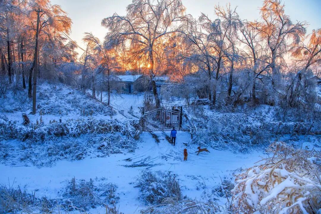 题图 | 视觉中国