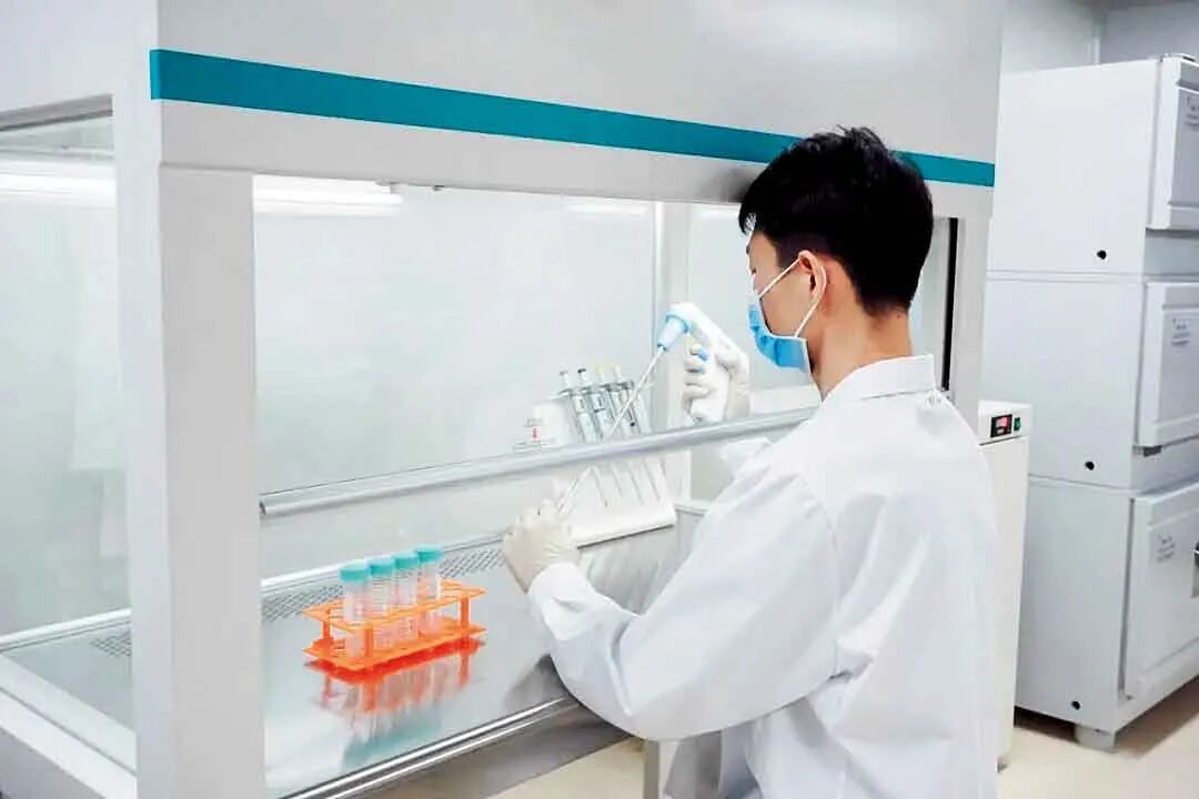 刘明耀团队成员在无菌条件下制备供体细胞。图/华东师范大学公众号