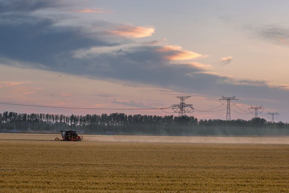 6月4日，农民驾驶农机在山东省淄博市高青县黑里寨镇抢收小麦。新华社发（张维堂摄）