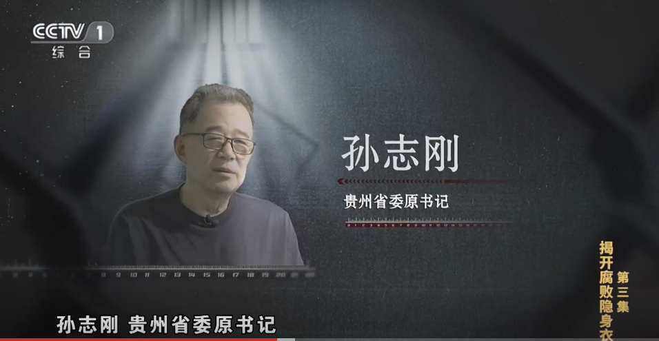 ▲孙志刚 图据中央纪委国家监委
