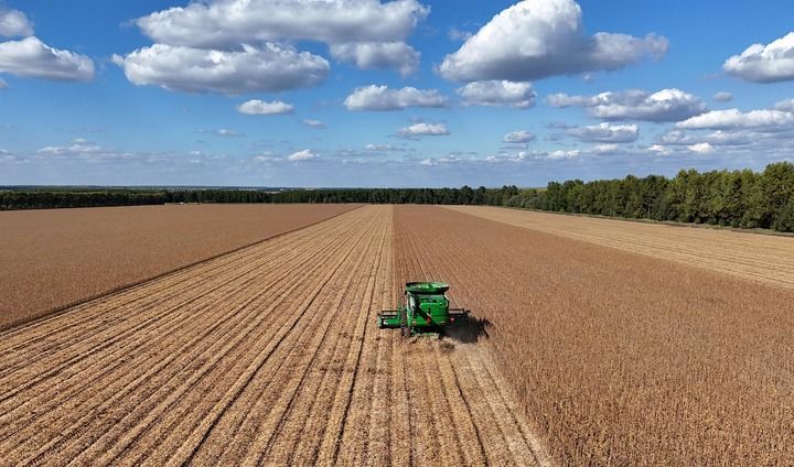 2025年9月19日,在北大荒集团黑龙江格球山农场有限公司大豆地块,收获机车在进行收获作业(无人机照片)。新华社发(陆文祥摄)