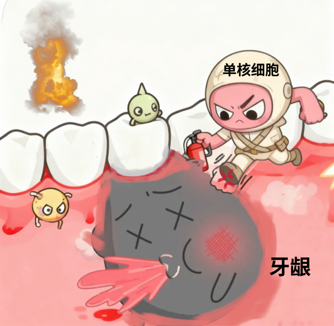 图片来源:自己画的