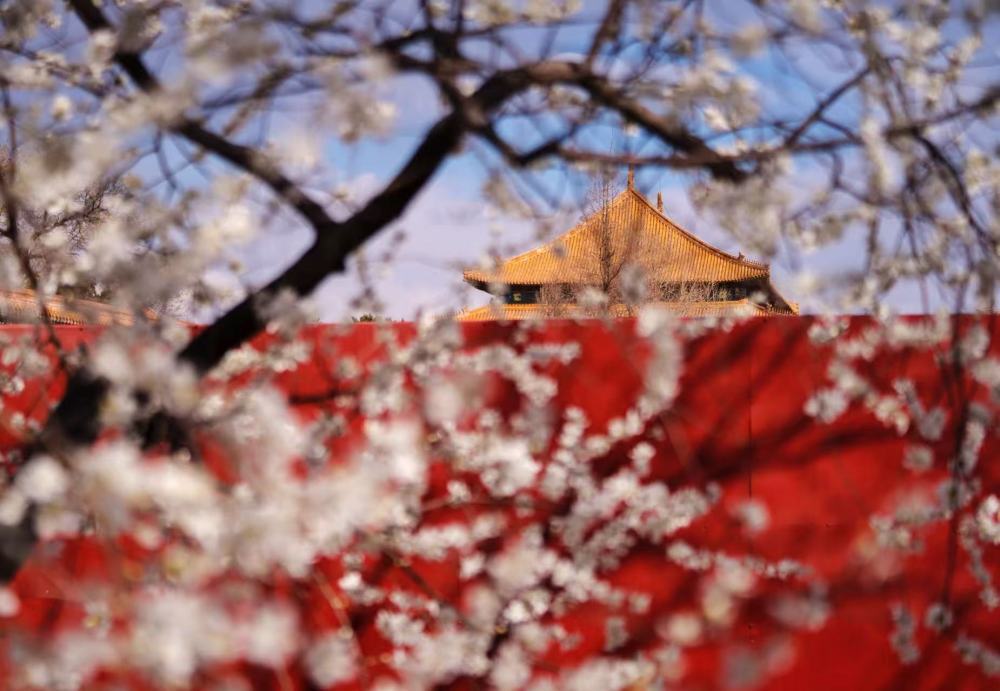 2019年/摄影:费茂华